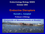 Endocrine Disruptors - University of Massachusetts Boston