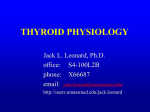 THYROID PHYSIOLOGY - Users.umassmed.edu