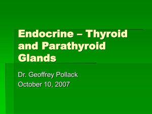 Endocrine – Thyroid and Parathyroid Glands