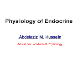 Physiology of Endocrine