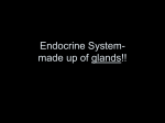 Endocrine System - TWHS 9th Grade Campus