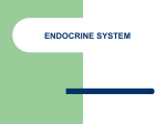 ENDOCRINE SYSTEM