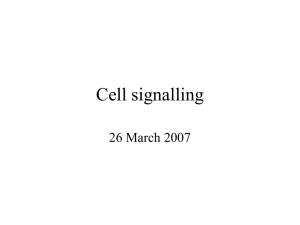 Cell signalling - Bilkent University