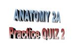 A&P 2A F’13 Practice Quiz 2