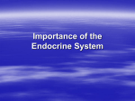 Hormones That Affect Blood Sugar