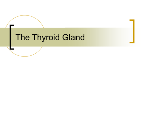 The Thyroid Gland