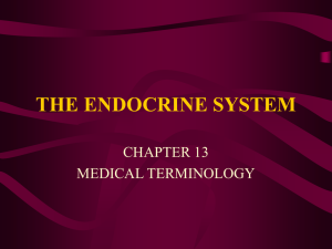 THE ENDOCRINE SYSTEM - Coastal Bend College