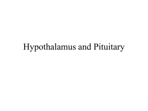 Hypothalamus & Pituitary