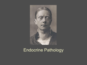 Endocrine - bloodhounds Incorporated