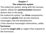 Clinical Manifestations