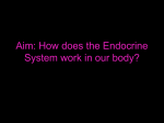 Aim: How does the Endocrine System work in our body?