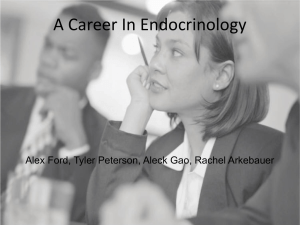 A Career In Endocrinology