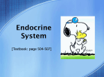 Endocrine System _2 - Doral Academy Preparatory