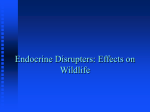 Endocrine Disrupters: Effects on Wildlife