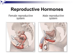 Female Reproductive System