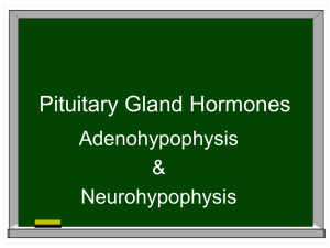 Pituitary Gland Hormones