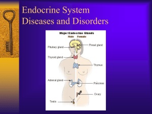 Endocrine System Diseases and Disorders