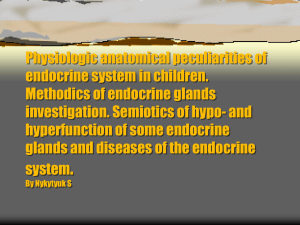13 Physiologicoanatomical peculiarities of endocrine system