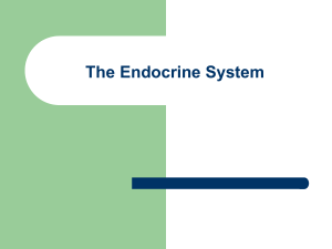 21.1 The Endocrine System