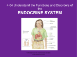 The Endocrine System