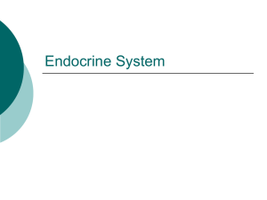 Endocrine System