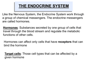 Endocrine System