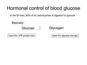 Hormonal control of blood glucose