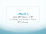 Pituitary and Adrenal Gland Dysfunction