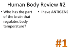 Human Body Review #2