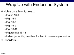 Endocrine System Wrap-up
