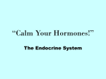 “Calm Your Hormones!”