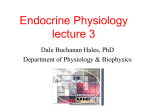 Endocrine Physiology lecture 3