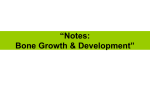 “Notes: Bone Growth & Development”