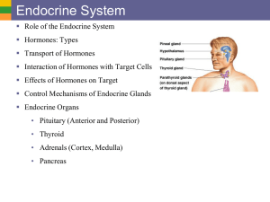 1 Endocrine System