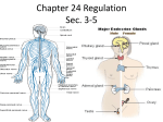 Chapter 24 Regulatio..