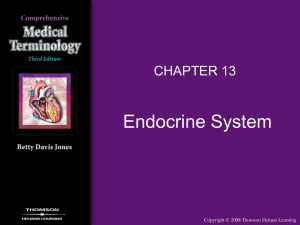Chapter 13 Endocrine System