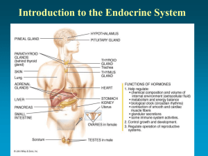 Introduction to the Endocrine System