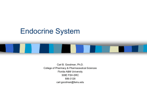 Function Nervous System Endocrine System