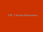 VIII. Calcium Homeostasis