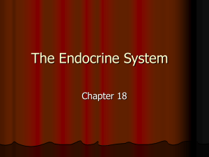 The Endocrine System