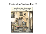 Endocrine Part 2 Powerpoint