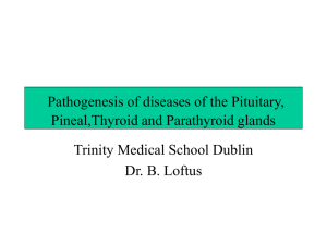 Pathogenesis-of-diseases-of-the-Pituitary-Pineal-Thyroid