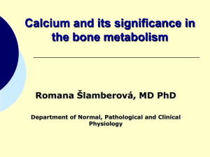 Calcium and its significance in the bone metabolism