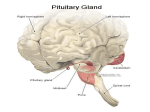 Hormones of a pituitary gland