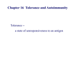 Chapter 16 Tolerance and Autoimmunity