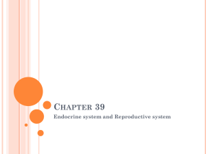 Chapter 39 - Midway ISD