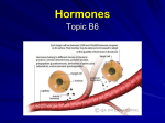 Hormones - Capital High School