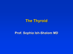 Hyperthyroidism - Technion moodle