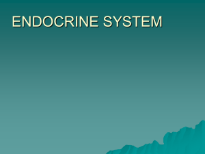 ENDOCRINE SYSTEM 9