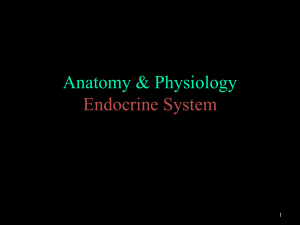 File - Anatomy & Physiology